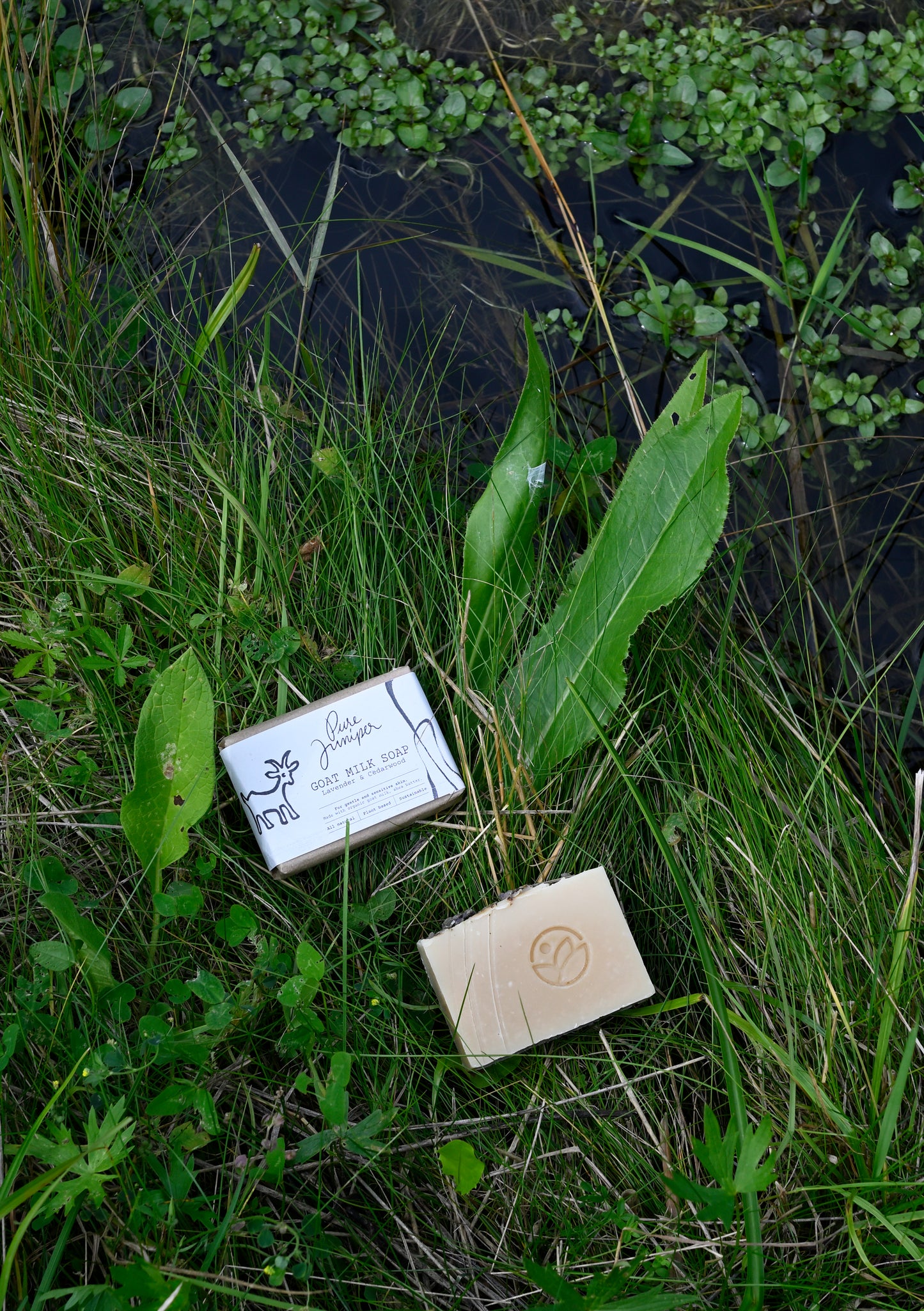Săpun Pure Juniper cu lapte de capră local, provenit de la ferma ecologica, sapunuri naturale premium, goat milk soap