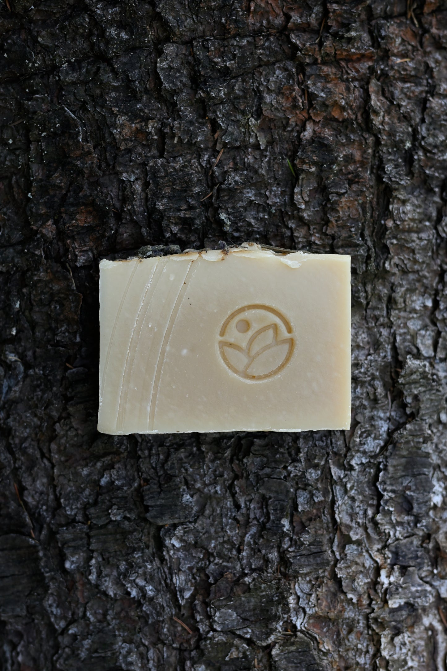 Săpun Pure Juniper cu lapte de capră local, provenit de la ferma ecologica, sapunuri naturale premium, oferă o spumă bogată și cremoasă